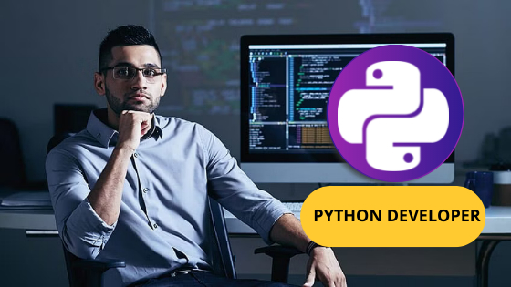 python developer course-iit